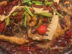 -老板恋上鱼(印象城店)
