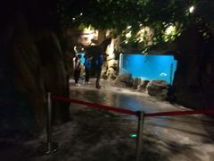 -绍兴梦享海洋公园