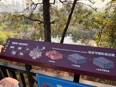 -王借岗森林公园