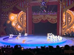 -珠海横琴长隆《卡卡虎奇遇记》