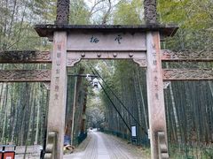 -云栖竹径