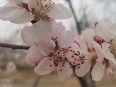 -大班家政月嫂育儿嫂(总部店)