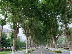 -四川大学(望江校区)