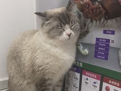 -瑞派雷欧宠物医院·中兽医·眼科·急重症转诊中心(黄台店)