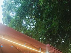 -范饭椰林川湘味海鲜·椰子鸡(三亚湾椰梦长廊店)
