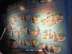 -长隆海洋王国-海洋大街餐厅