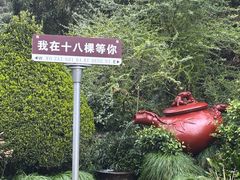 -十八棵（老龙井）御茶园(老龙井店)