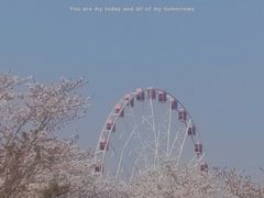 -顾村公园