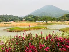-梧桐山风景名胜区