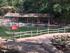 -牛鱼嘴原始生态风景区