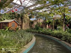 -南宫五洲植物乐园