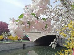 -元大都城垣遗址公园