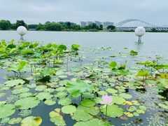 -澹台湖公园
