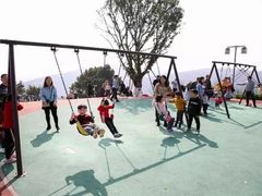 -铁山坪森林公园