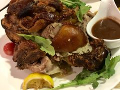 -百好乐宠物友好餐厅(朝外大街店)