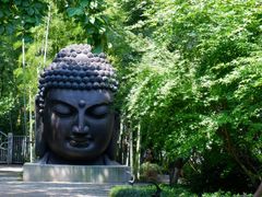 -杭州植物园