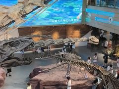 -安徽省地质博物馆