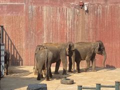 -大连森林动物园