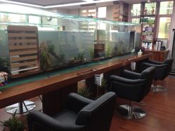 IMG_4415-小左美发