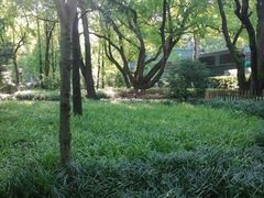 -徐家汇源景区-衡山公园