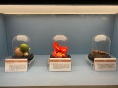 -岳阳市博物馆