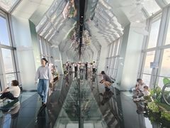 -上海环球金融中心云端足球盛典