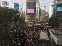 -涩谷区