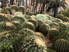 -石家庄市植物园