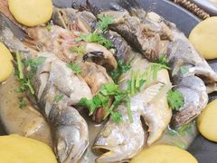 -美达尔烧烤海鲜家常菜(泰山路店)