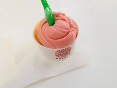 -Lolita's Gelato