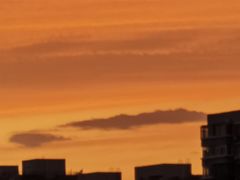 -咏春拳学总会·一拳咏春(双井店)