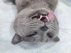 -荔康动物医院(康王北路店)