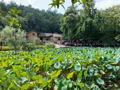 -韶山毛泽东同志故居