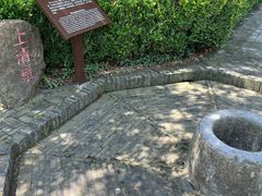 -上海佘山国家森林公园天马山园