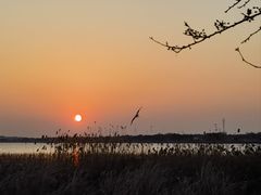 -苏州阳澄湖澜廷酒店-有景阁中餐厅