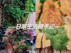 -嘉缤苑