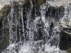 -白水寺森林公园