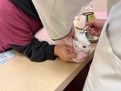 -艾贝尔宠物医院 ·内科全科(梁溪路店)