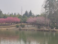 -白塘生态植物园