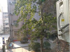 -山东大学(千佛山校区)