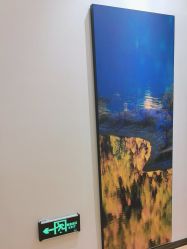 -北京米扬丽格医疗美容·联合丽格鼻整形中心