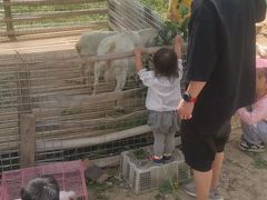 -小鱼草莓采摘园农家乐·小鱼餐厅