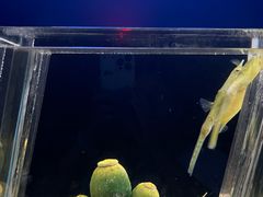 -西安曲江海洋极地公园