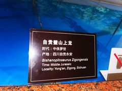 -自贡恐龙博物馆