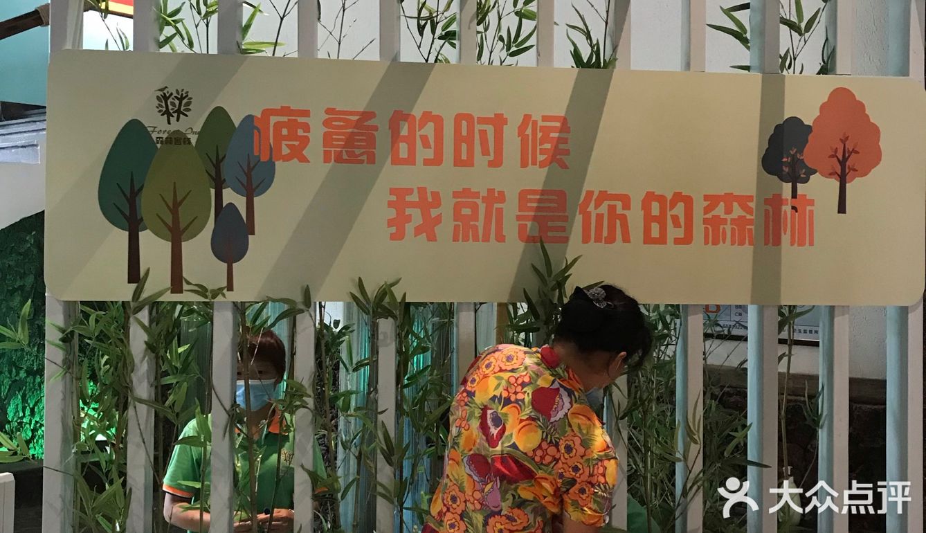 听店里小哥说要给它椰子肉吃，它才会跑出来，好吧