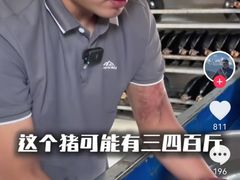 -约翰·菲茨杰拉德·肯尼迪国际机场