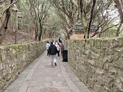 -普陀山风景区-佛顶山