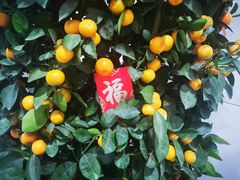-福州长乐国际机场