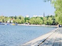 -长春市南湖公园