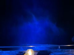 -Rock Bar Bali(Bali)